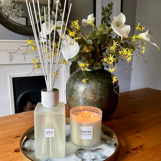 Scences Reed Diffuser with White Ylang Ylang: Extra Large