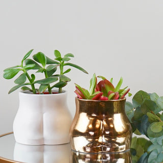 Gold Bottom Planter