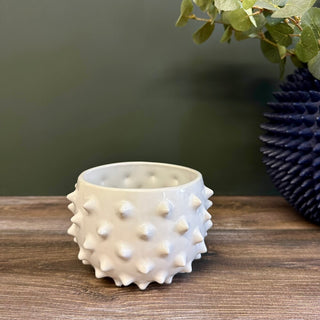 White Ceramic Planter with Spikes