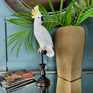 Cockatoo on Perch