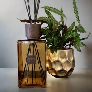 Scences Reed Diffuser in Amber and Ylang Ylang: Extra large