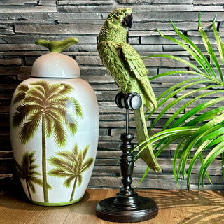 Stylish Green Parrot on Perch