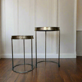 Set of 2 Mirror Top Tray Tables - Swallow