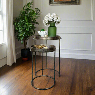 Set of 2 Mirror Top Tray Tables - Swallow